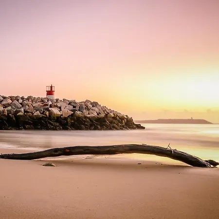 Tamargueira