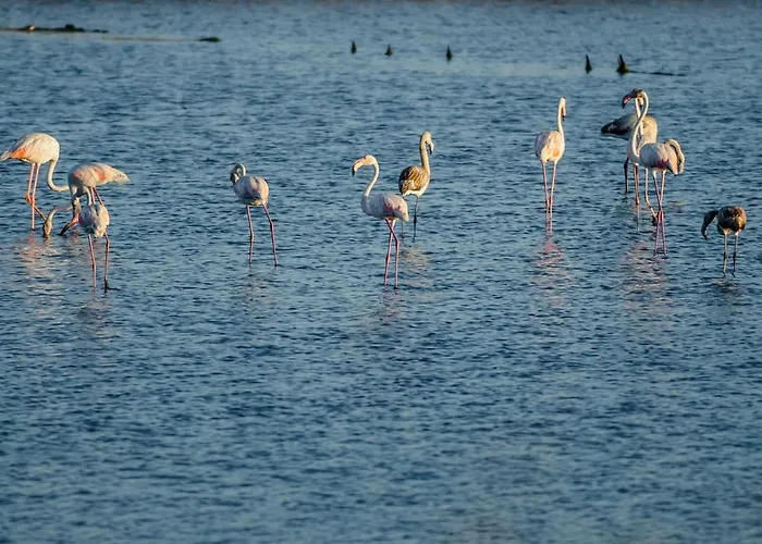 Apartament Tamargueira Buarcos